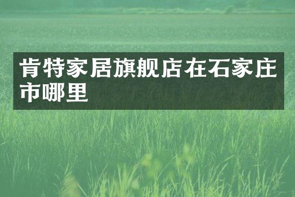 肯特家居旗舰店在石家庄市哪里