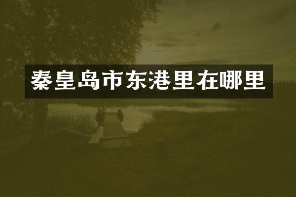秦皇岛市东港里在哪里