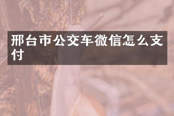 邢台市公交车微信怎么支付
