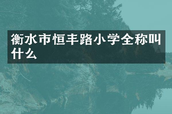 衡水市恒丰路小学全称叫什么