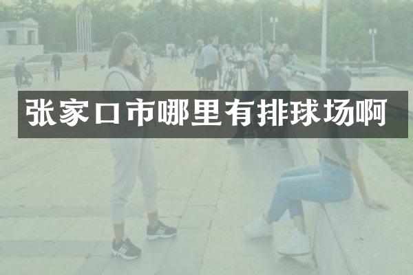 张家口市哪里有排球场啊