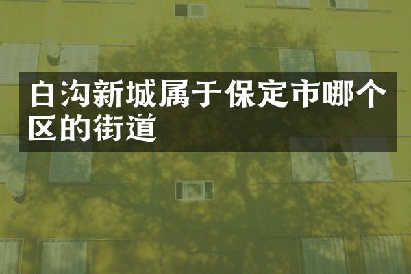 白沟新城属于保定市哪个区的街道