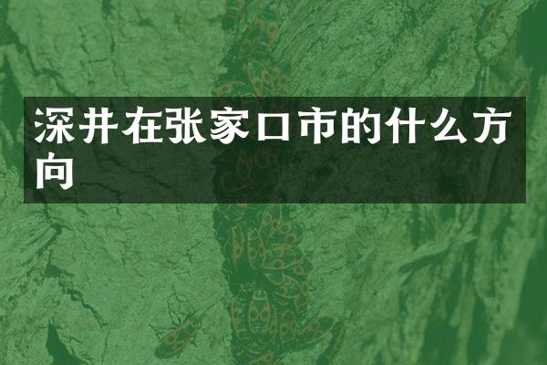 深井在张家口市的什么方向