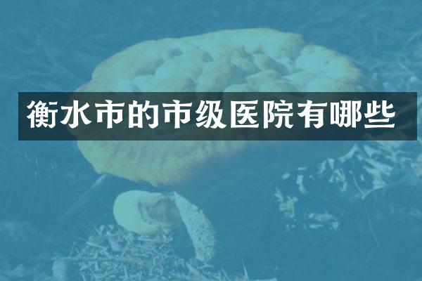 衡水市的市级医院有哪些
