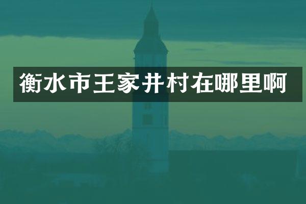 衡水市王家井村在哪里啊