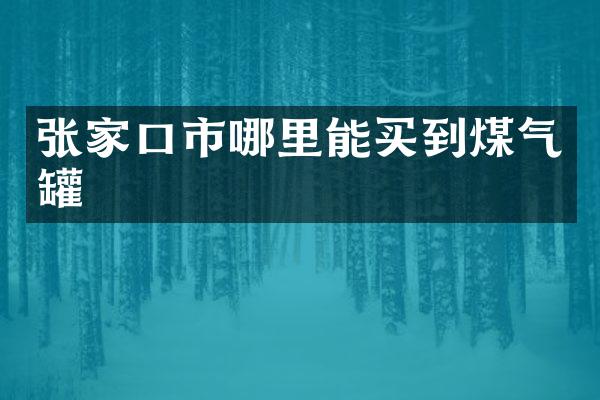 张家口市哪里能买到煤气罐