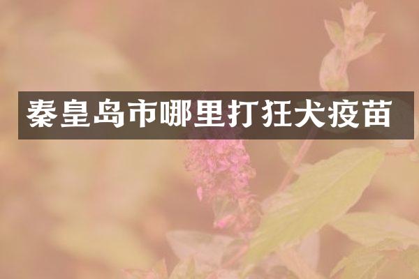 秦皇岛市哪里打狂犬疫苗