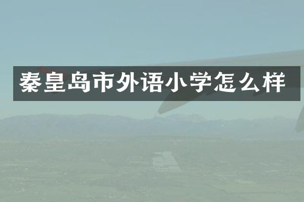 秦皇岛市外语小学怎么样