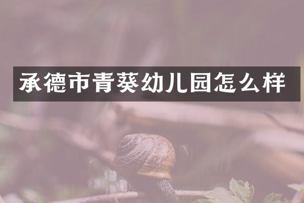 承德市青葵幼儿园怎么样