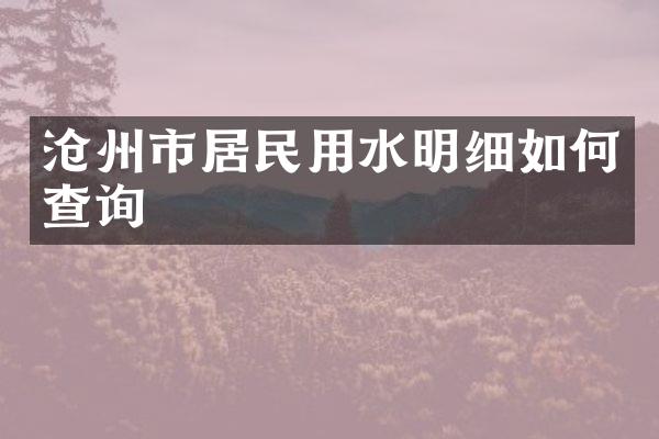 沧州市居民用水明细如何查询