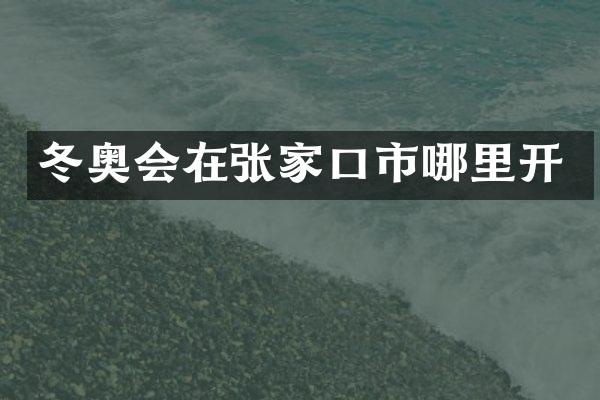 冬奥会在张家口市哪里开