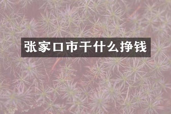 张家口市干什么挣钱