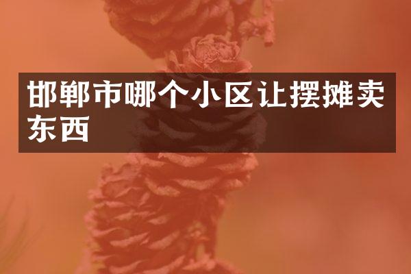 邯郸市哪个小区让摆摊卖东西