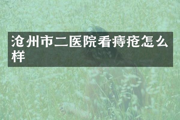 沧州市二医院看痔疮怎么样