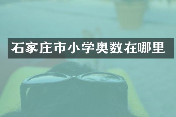 石家庄市小学奥数在哪里