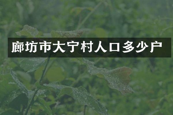 廊坊市大宁村人口多少户
