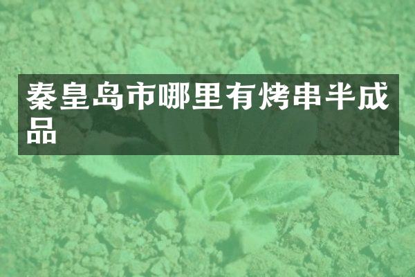 秦皇岛市哪里有烤串半成品