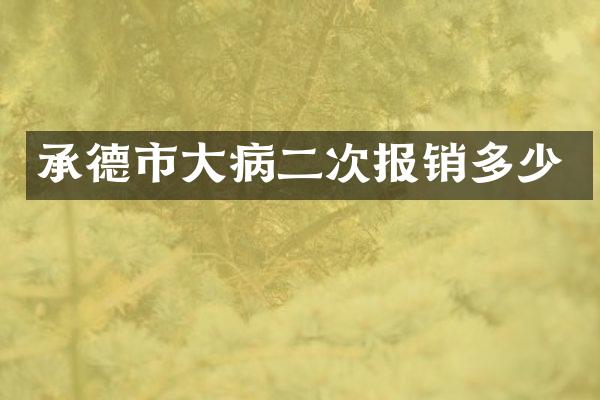 承德市大病二次报销多少
