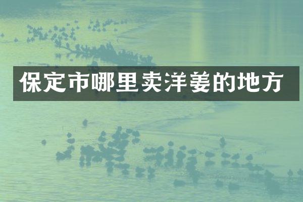 保定市哪里卖洋姜的地方