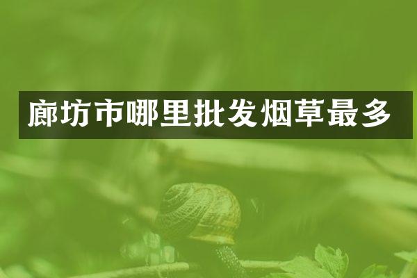 廊坊市哪里批发烟草最多