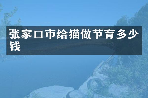 张家口市给猫做节育多少钱