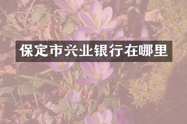 保定市兴业银行在哪里
