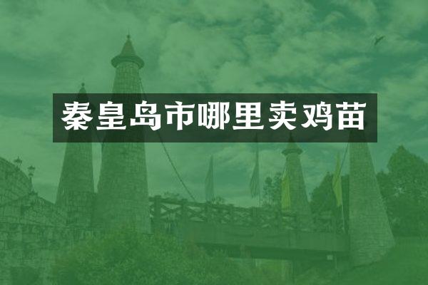 秦皇岛市哪里卖鸡苗