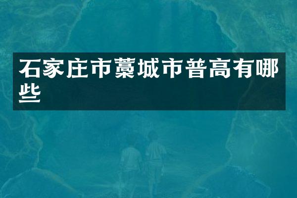 石家庄市藁城市普高有哪些