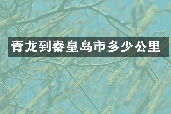 青龙到秦皇岛市多少公里