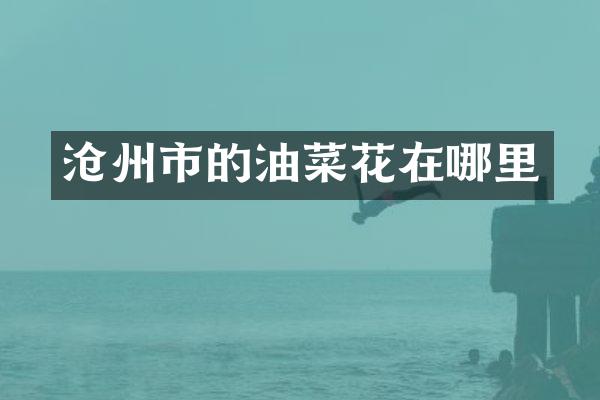 沧州市的油菜花在哪里