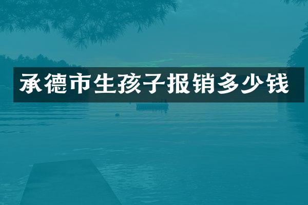 承德市生孩子报销多少钱