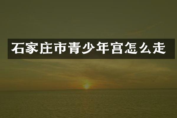 石家庄市青少年宫怎么走
