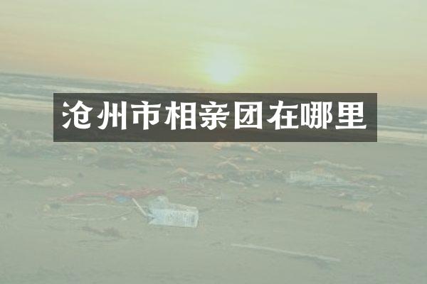 沧州市相亲团在哪里