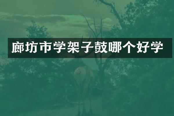 廊坊市学架子鼓哪个好学