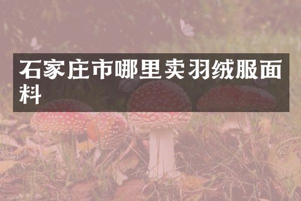 石家庄市哪里卖羽绒服面料