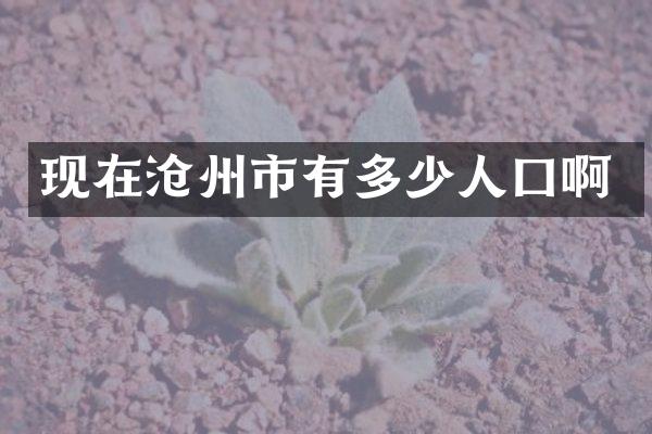 现在沧州市有多少人囗啊