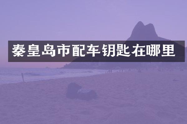 秦皇岛市配车钥匙在哪里