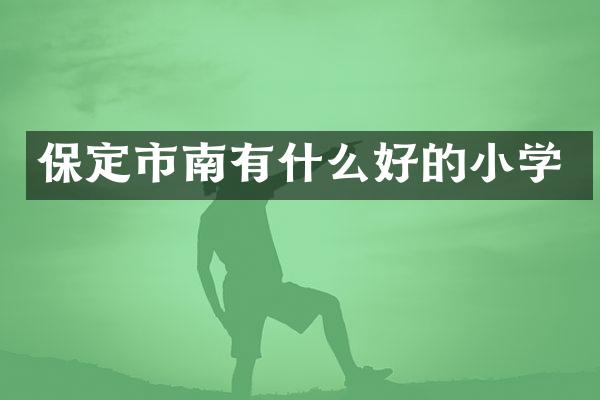 保定市南有什么好的小学