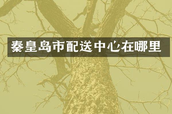 秦皇岛市配送中心在哪里