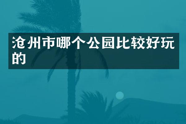 沧州市哪个公园比较好玩的