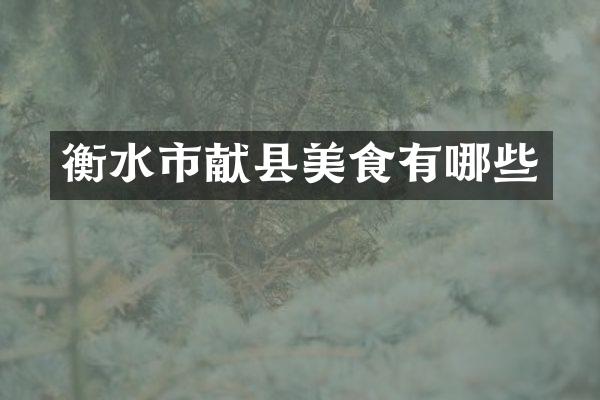 衡水市献县美食有哪些