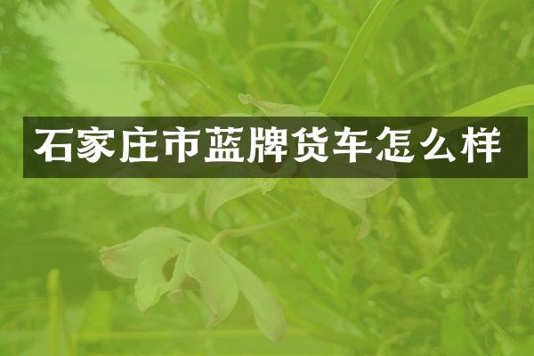 石家庄市蓝牌货车怎么样