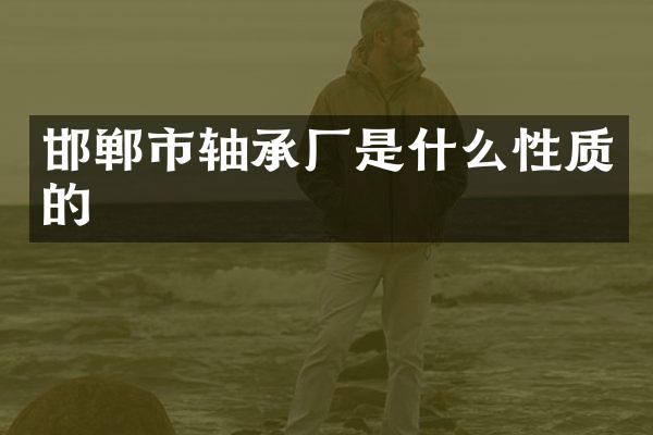 邯郸市轴承厂是什么性质的