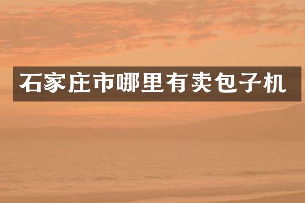 石家庄市哪里有卖包子机