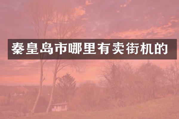 秦皇岛市哪里有卖街机的