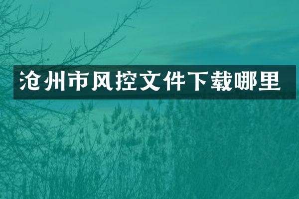 沧州市风控文件下载哪里
