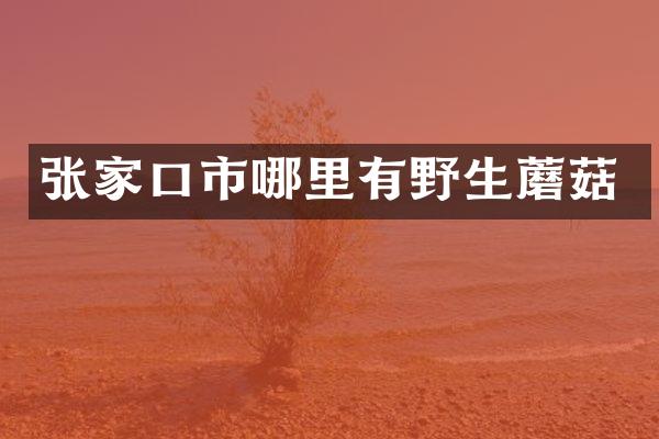 张家口市哪里有野生蘑菇