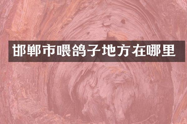 邯郸市喂鸽子地方在哪里