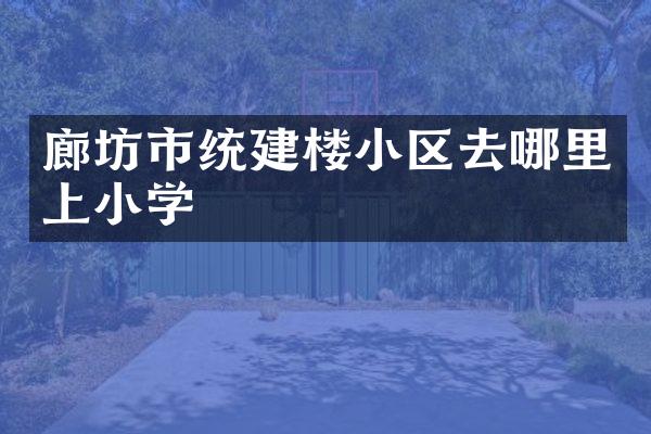 廊坊市统建楼小区去哪里上小学