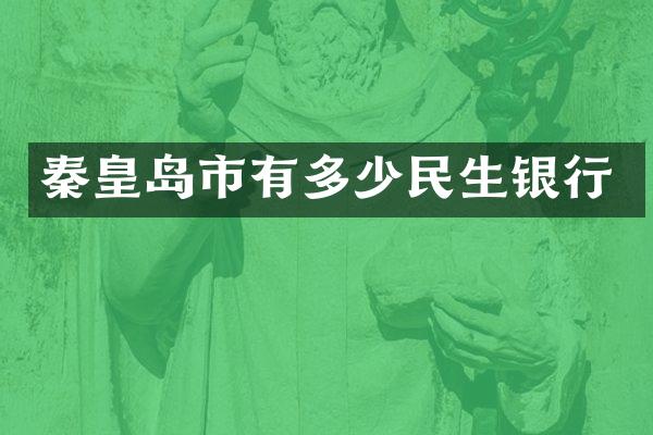 秦皇岛市有多少民生银行